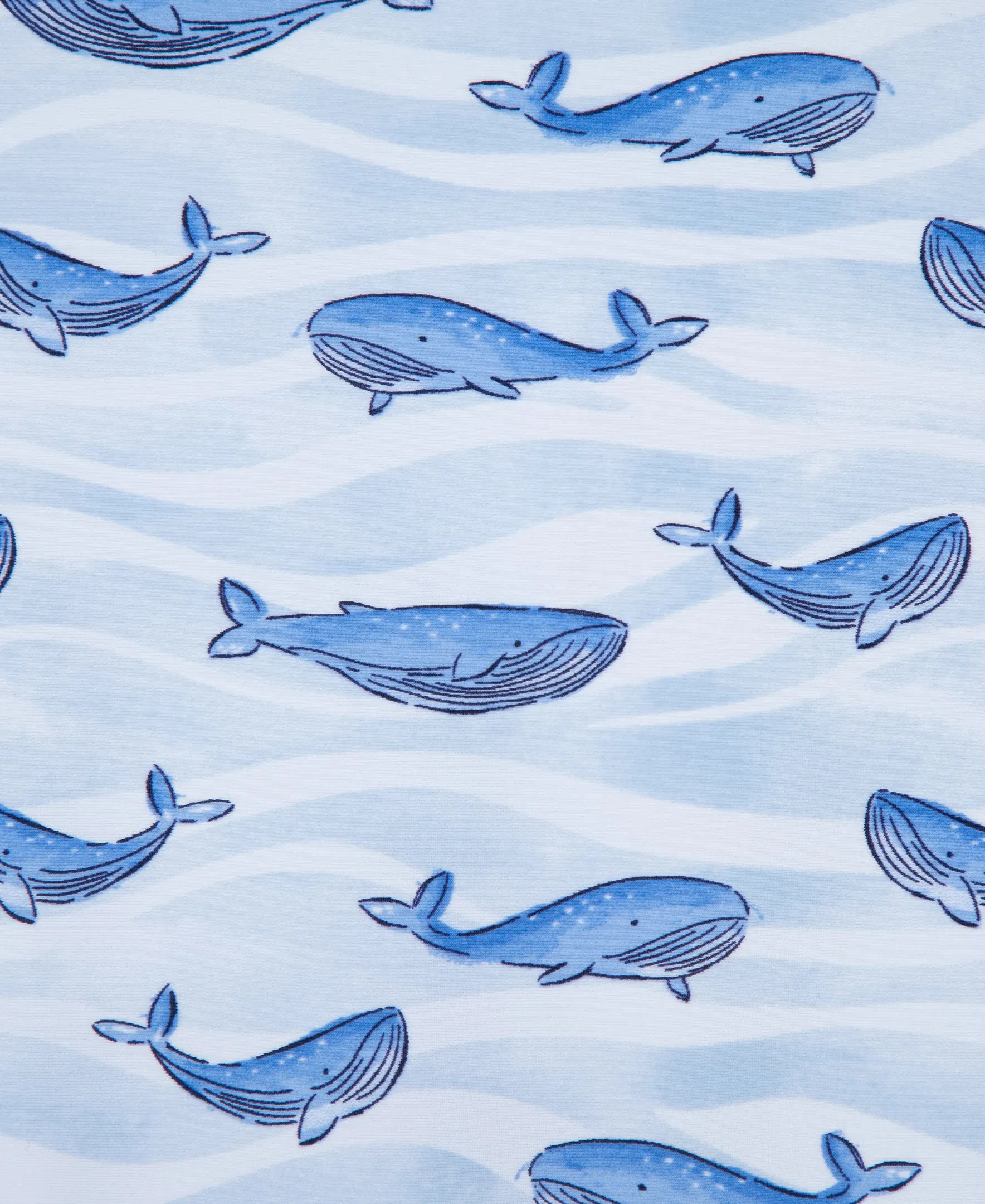 Whale Long Sleeve Rashguard Suit (6M-24M)