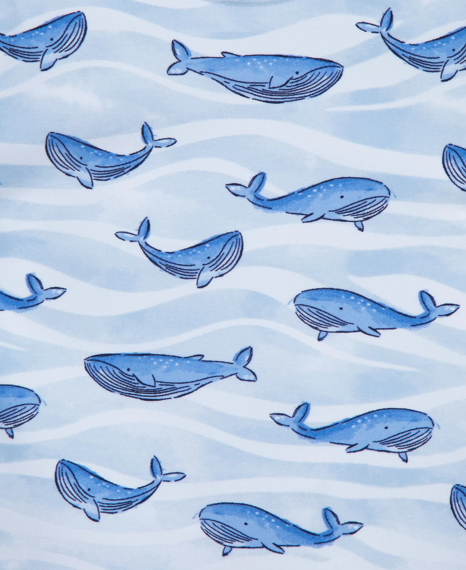 Whale Rashguard Set (2T-4T)